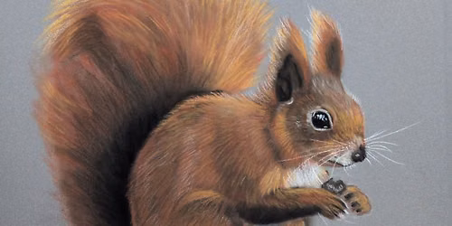 Red Squirrel Pastels Workshop with Roxy