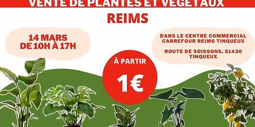 REIMS - V\u00e9g\u00e9taux et Plantes \u00e0 partir de 1\u20ac by Plantes Addict