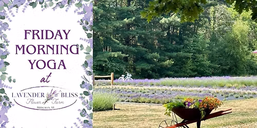 Yoga at Lavender Bliss Flower Farm