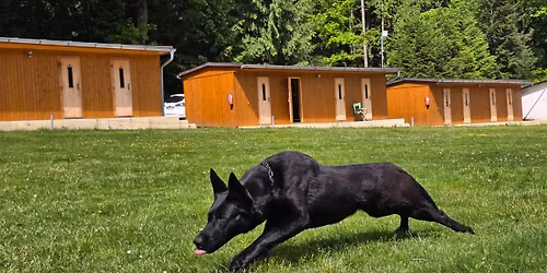 Prodlou\u017een\u00fd v\u00edkend - p\u0159\u00edprava na zkou\u0161ky