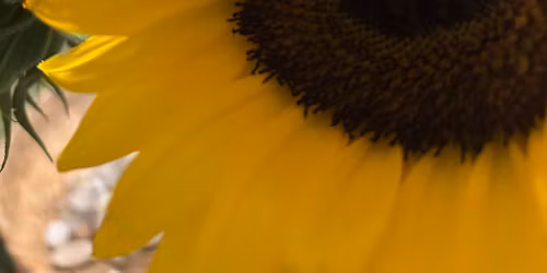 Women\u2019s Relax and Rejuvenate Full Day Rerrat