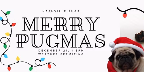 Merry Pugmas! Holiday Pug Meetup