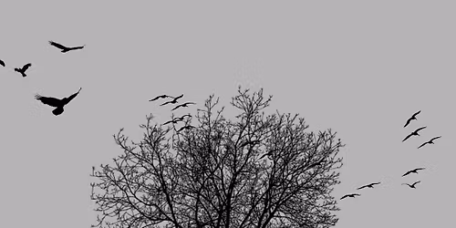 Come Together to Fall Apart 3