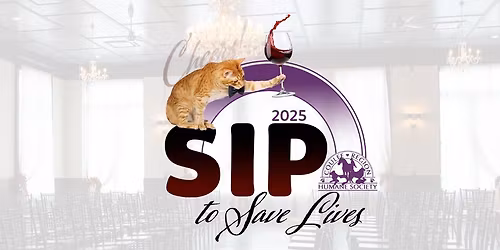 Sip to Save Lives 2025 @ The Court Above Main