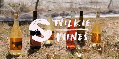Wilkie Wines Tasting with the Winemaker
