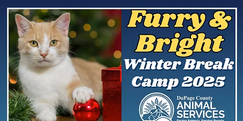 Furry and Bright Winter Camp (Ages 10-14)