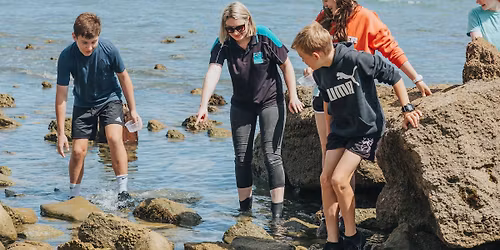 Seaweek Rocky Shore Explorers!