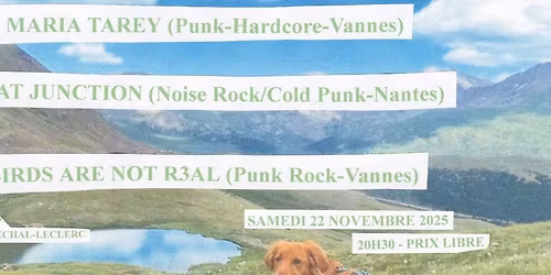 Maria Tarey, Isolat Junction, Birds Are Not R3al, samedi 22 novembre, le Longchamp, Vannes.