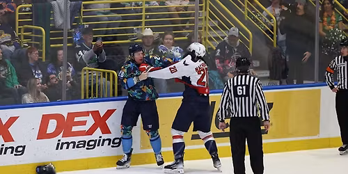 Florida Everblades vs. South Carolina Stingrays