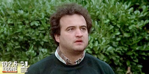 National Lampoon\u2019s Animal House