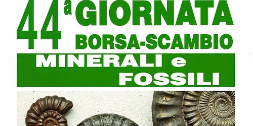 44° Giornata Borsa Scambio Minerali e Fossili a Busto Arsizio