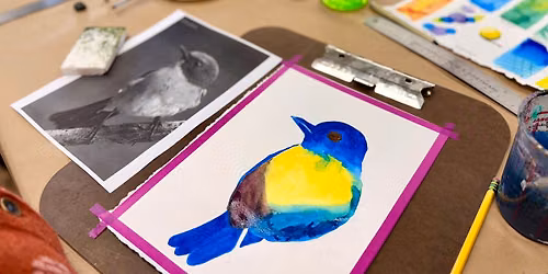  Watercolor - All Levels
