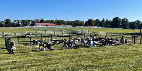 July Outdoor Goat Yoga at Barkheimer Barns