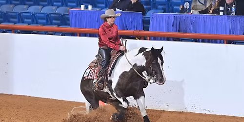 FWSSR AQHA & NRHA Reining