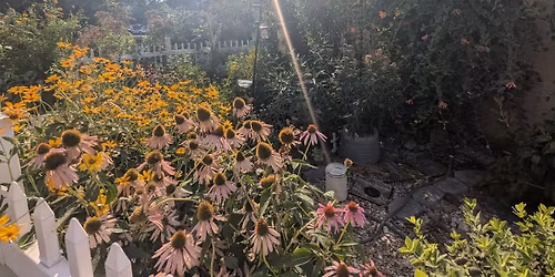 Native Plant and Seed Swap