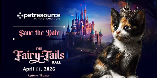 The Fairy-Tails Ball