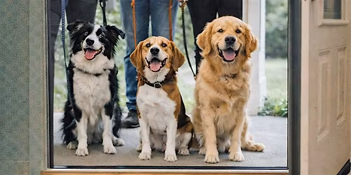 Door Manners Group Dog Training Class