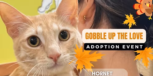 Gobble Up Love Adoption Event