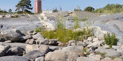 Majakkaretki y\u00f6nyli Kylm\u00e4pihlajalle (hein\u00e4kuussa)