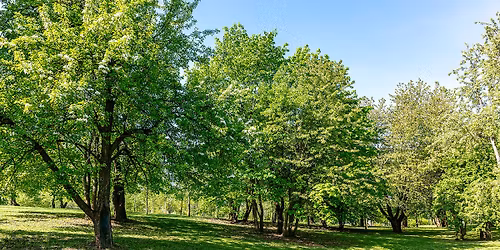 Hiking, Your New Adventure! - Union Mills Recreation Area