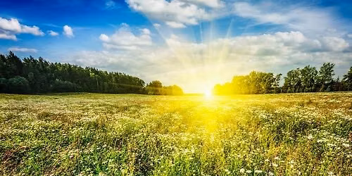Restorative Yoga & Nidra