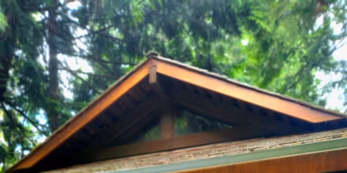 Eastside Hike - Bellevue Botanical Garden\/Kelsey Creek