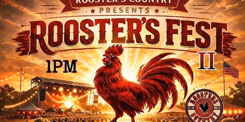 The Bollox Live At Rooster Fest II
