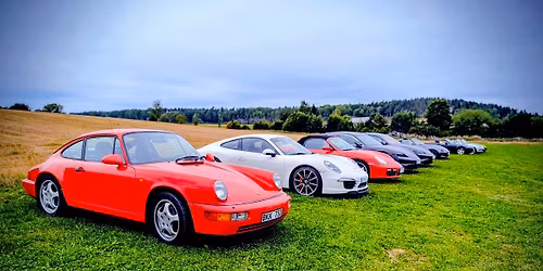 Biltr\u00e4ff: Porsche
