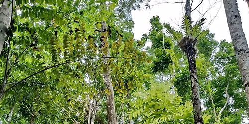 search-in \ud83d\udd0d