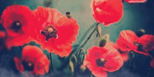 Remembrance Day Gathering!