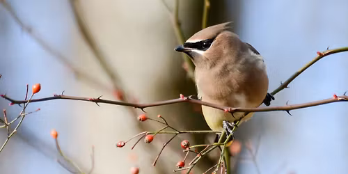 Field Trip: Weston Bend State Park