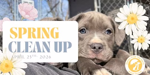 SFTS Spring Clean Up