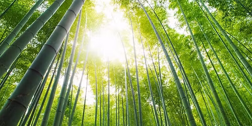 Nevaeh Psychic Nights. Evening of Mediumship