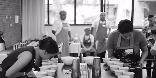 Legends of Excellence Cupping