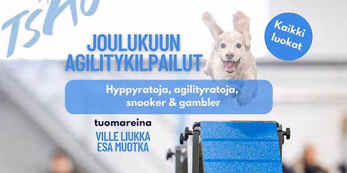TSAUn joulukisat