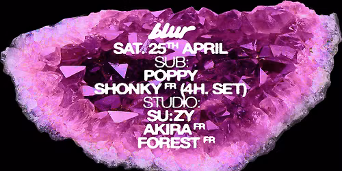 BLUR with Shonky, Poppy, Akira, Forest, su:zy