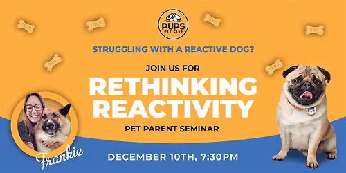 Rethinking Reactivity - Training Seminar for Pet Parents