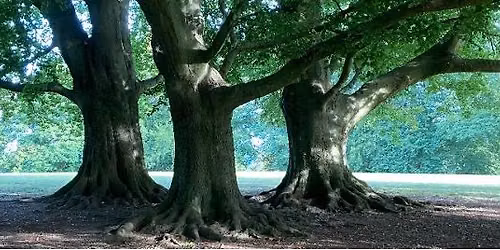 Part of the Festival of Nature 2026 I Spy Nature trail