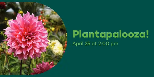 Plantapalooza!