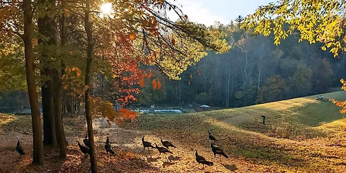 Thanksgiving Day Feast at Kanuga