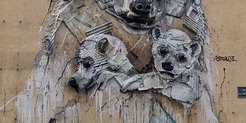 Visite - Nancy Street-Art