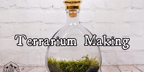 Terrarium Making