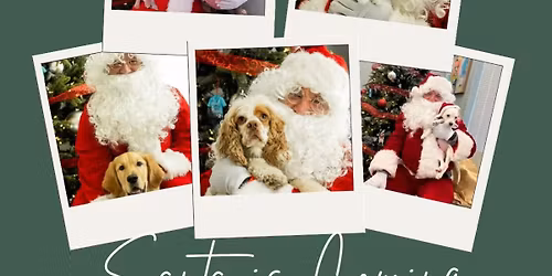 Santa paws Pictures!