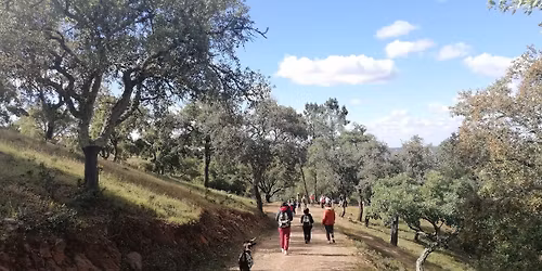 WFA - Festival de Caminhadas do Ameixial