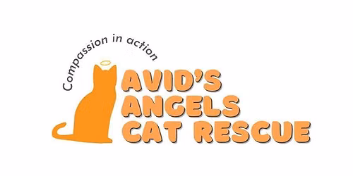 Avid's Angels Cat Rescue - Family Quiz Night