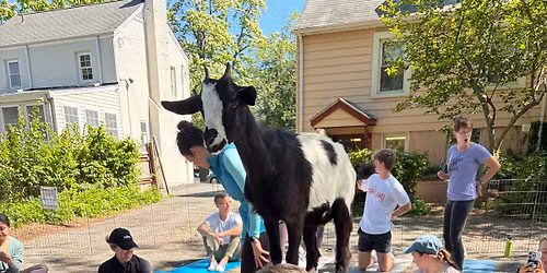 Goat Yoga At 3rd Planet Brewing