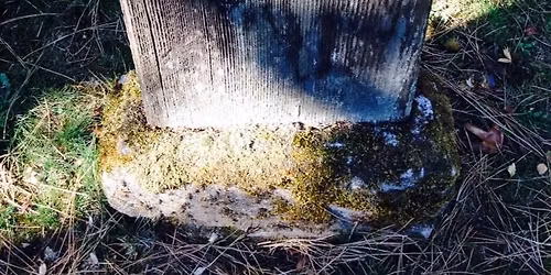 Guided Tour: Stories in Stone