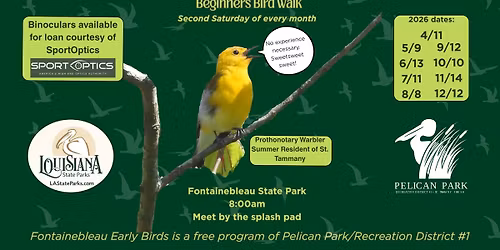 Spring Migration Birdwatching Series - Fontainebleau Early Birds