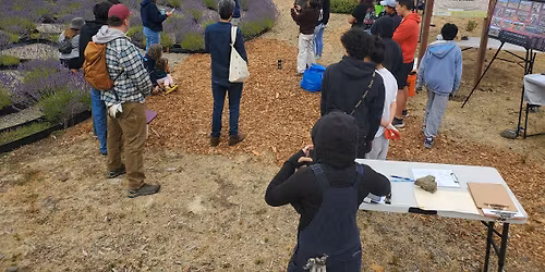 Compost Awareness Day at the Phoenix Garden