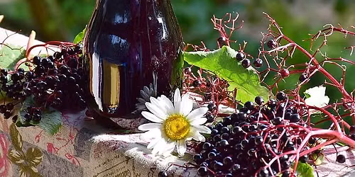 Elderberry Syrup for Year-Round Health